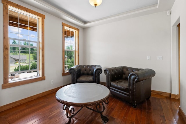 54 Bluebird Dr, Kalispell, MT 59901 - sitting room featuring a tray ceiling and hardwood / wood-style floors
