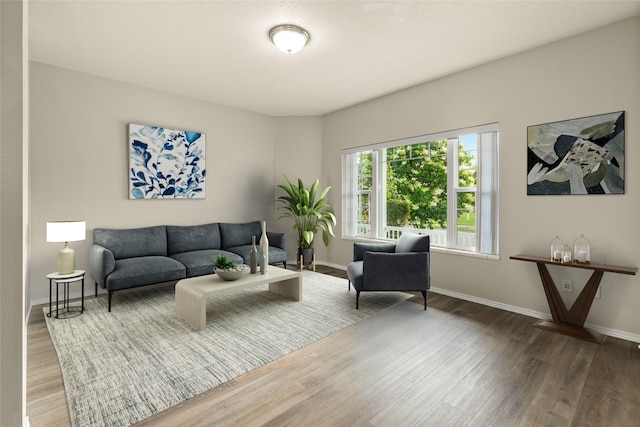 603 Luella Ln, Missoula, MT 59801 - living room featuring wood finished floors and baseboards