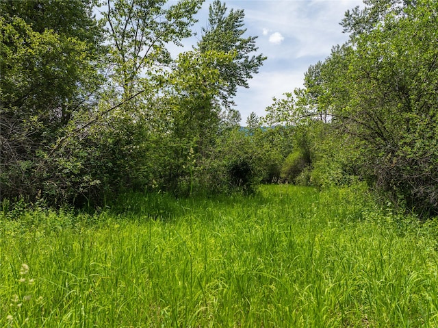 24305 Doney Ln, Arlee, MT 59821