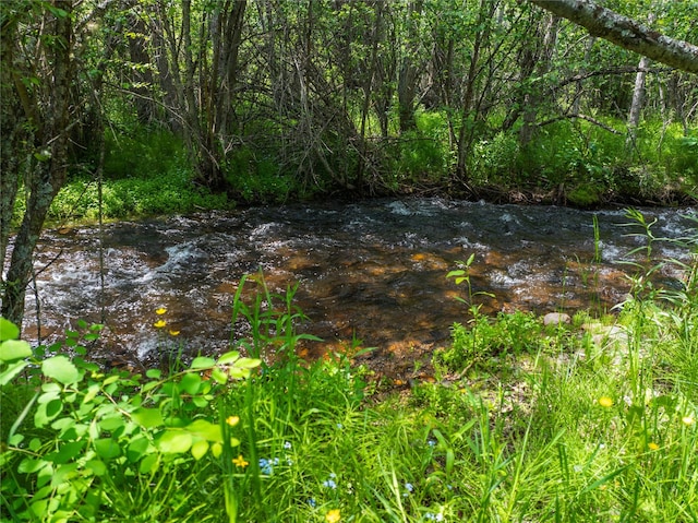 24305 Doney Ln, Arlee, MT 59821