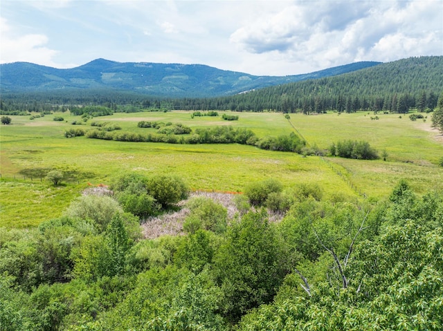 24305 Doney Ln, Arlee, MT 59821