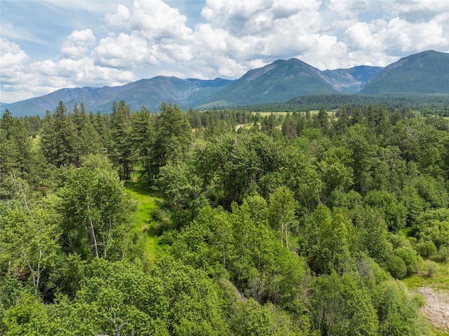 24305 Doney Ln, Arlee, MT 59821
