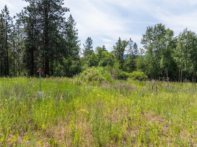 24305 Doney Ln, Arlee, MT 59821