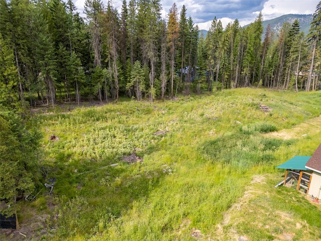 38534 US Highway 2, Libby, MT 59923 - view of wooded area featuring a mountain view