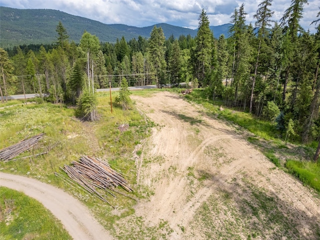38534 US Highway 2, Libby, MT 59923 - mountain view with a forest