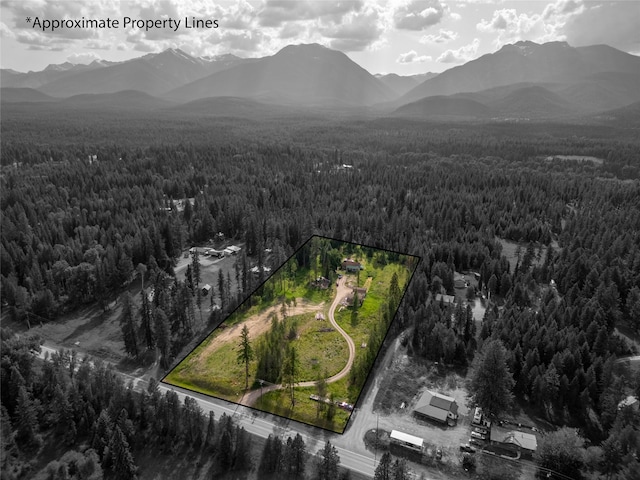 38534 US Highway 2, Libby, MT 59923 - aerial view of property's location with a heavily wooded area and property parcel outlined