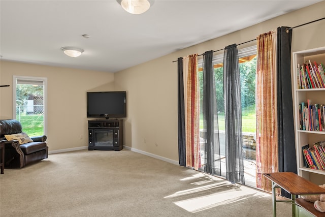 4280 Fox Farm Rd, Missoula, MT 59802 - living area featuring carpet flooring and baseboards