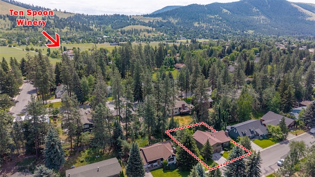 4280 Fox Farm Rd, Missoula, MT 59802 - aerial view of property's location with property boundaries highlighted and a mountain backdrop