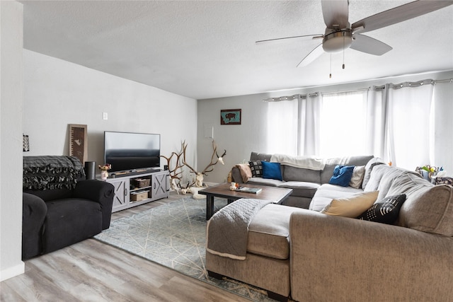 3265 US Highway 2 W, Kalispell, MT 59901 - living area featuring wood finished floors, ceiling fan, and a textured ceiling