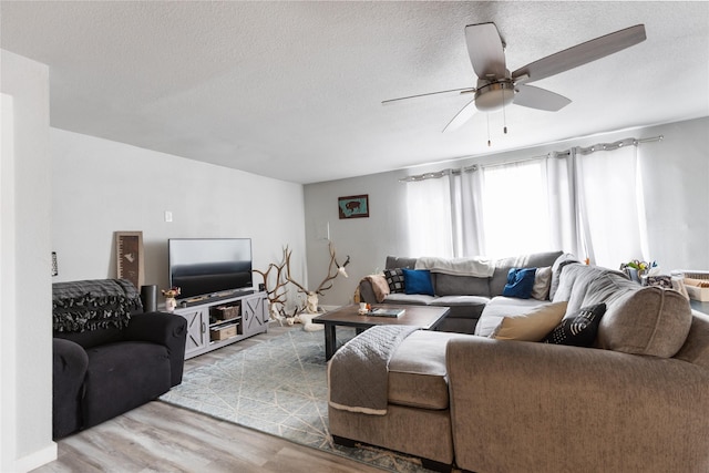 3265 US Highway 2 W, Kalispell, MT 59901 - living room featuring wood finished floors, ceiling fan, and a textured ceiling