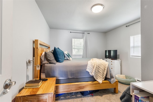 3265 US Highway 2 W, Kalispell, MT 59901 - bedroom featuring multiple windows and carpet