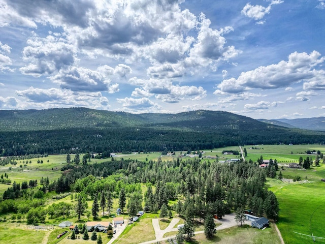 378 Last Best Pl, Kalispell, MT 59901 - mountain view with rural landscape