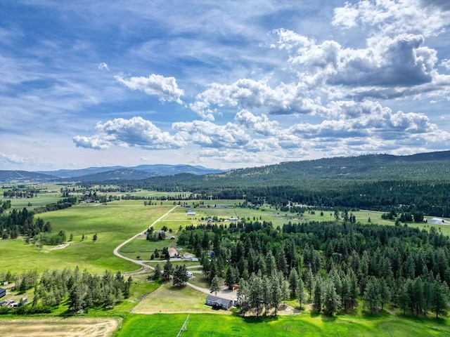 378 Last Best Pl, Kalispell, MT 59901 - mountain view