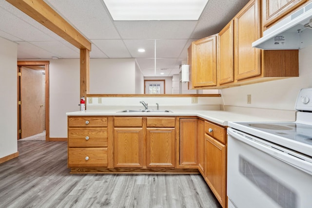378 Last Best Pl, Kalispell, MT 59901 - kitchen with electric range, range hood, light wood-style flooring, a drop ceiling, and light countertops