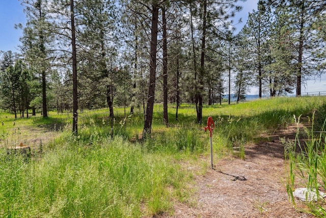 378 Last Best Pl, Kalispell, MT 59901 - view of undeveloped land