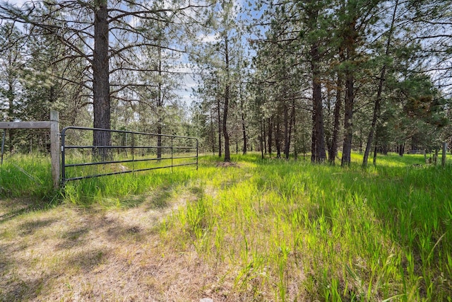 378 Last Best Pl, Kalispell, MT 59901 - view of yard with a gate