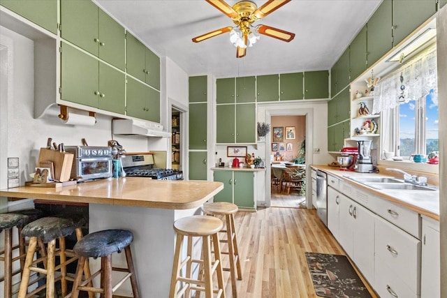 407 1st Ave W, Eureka, MT 59917 - kitchen with stainless steel appliances, light wood-type flooring, under cabinet range hood, light countertops, and a kitchen bar
