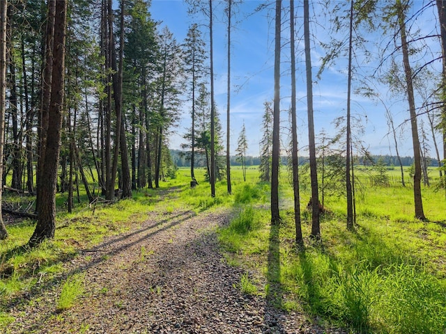 1350 Mooring Meadow Dr, Columbia Falls, MT 59912