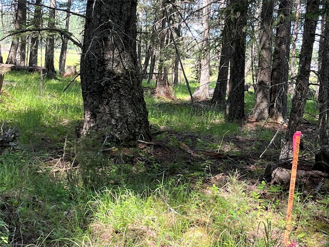 1350 Mooring Meadow Dr, Columbia Falls, MT 59912