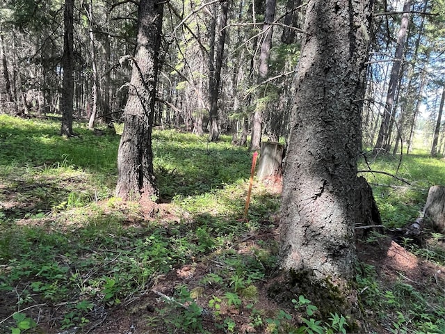 1350 Mooring Meadow Dr, Columbia Falls, MT 59912