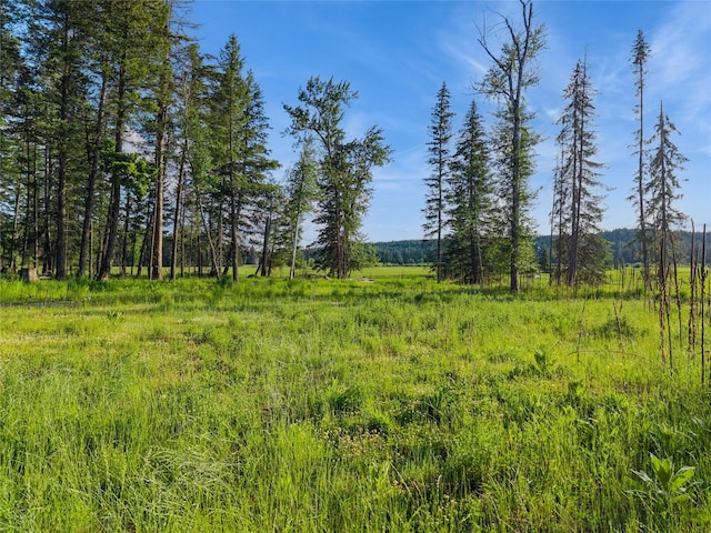 1350 Mooring Meadow Dr, Columbia Falls, MT 59912