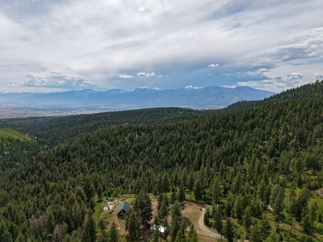 18998 Oris Ln, Florence, MT 59833 - bird's eye view of a forest and mountains