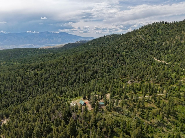 18998 Oris Ln, Florence, MT 59833 - mountain view with a forest