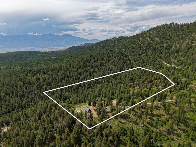 18998 Oris Ln, Florence, MT 59833 - view of property location with a mountain backdrop and property parcel outlined