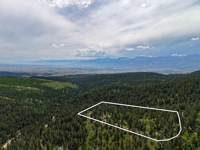 18998 Oris Ln, Florence, MT 59833 - view of property location featuring property boundaries highlighted