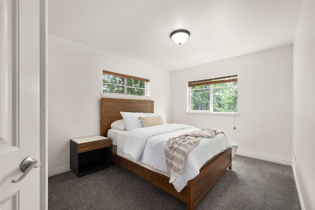 443 Karrow Ave, Whitefish, MT 59937 - bedroom featuring multiple windows and carpet floors