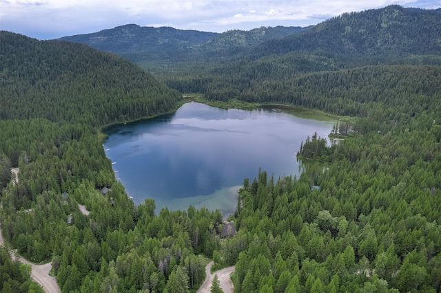 983 Lake Dr, Columbia Falls, MT 59912 - bird's eye view of a water and mountain view