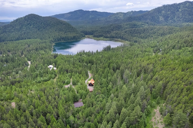 983 Lake Dr, Columbia Falls, MT 59912 - bird's eye view of a heavily wooded area and a water and mountain view