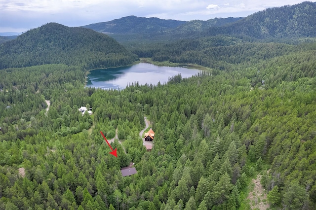 983 Lake Dr, Columbia Falls, MT 59912 - bird's eye view of a forest and a water and mountain view