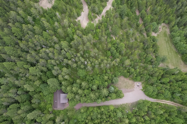 983 Lake Dr, Columbia Falls, MT 59912 - aerial view of property and surrounding area