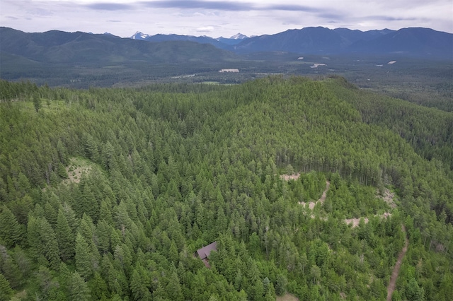 983 Lake Dr, Columbia Falls, MT 59912 - view of mountain background with a heavily wooded area