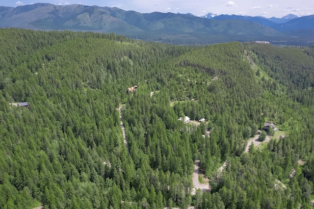 983 Lake Dr, Columbia Falls, MT 59912 - bird's eye view of a heavily wooded area and a mountain backdrop