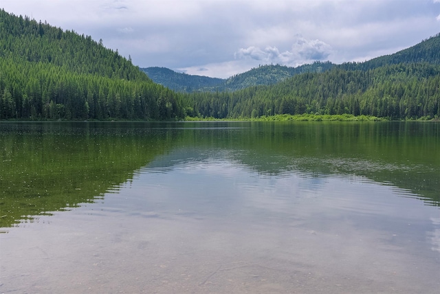 983 Lake Dr, Columbia Falls, MT 59912 - water view with a forest and a mountain backdrop