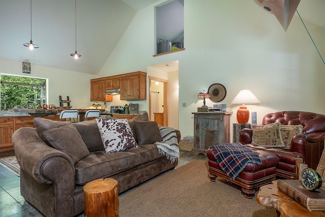 983 Lake Dr, Columbia Falls, MT 59912 - living room featuring high vaulted ceiling