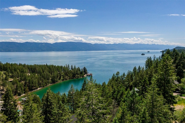 100 Deep Bay Dr, Lakeside, MT 59922 - water view featuring mountains and a forest