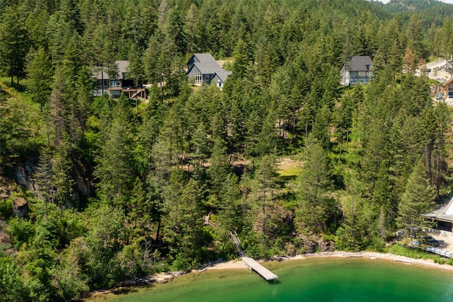 100 Deep Bay Dr, Lakeside, MT 59922 - bird's eye view of a heavily wooded area