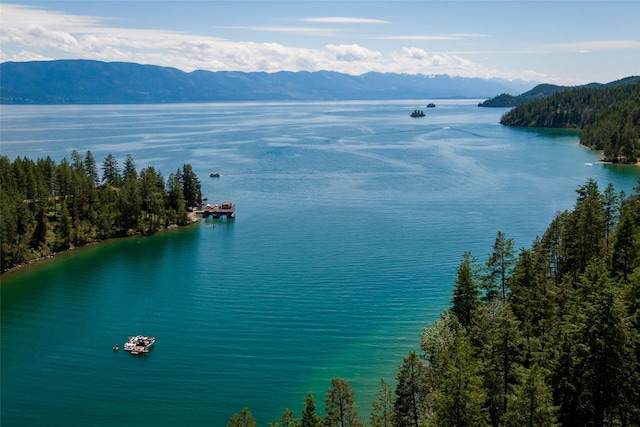 100 Deep Bay Dr, Lakeside, MT 59922 - water view with a mountain backdrop and a heavily wooded area