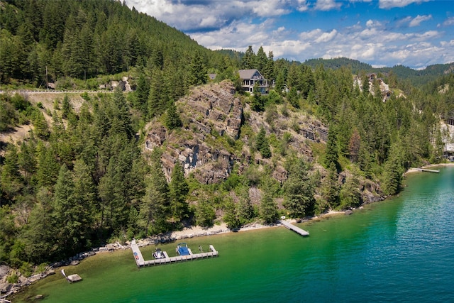 100 Deep Bay Dr, Lakeside, MT 59922 - view of property location featuring a forest and a large body of water