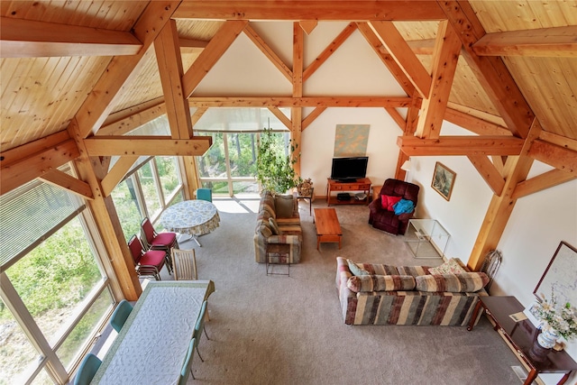 100 Deep Bay Dr, Lakeside, MT 59922 - living room featuring carpet and wood ceiling