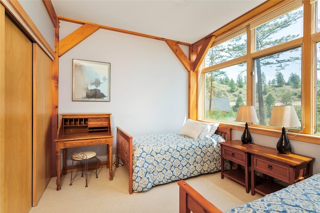 100 Deep Bay Dr, Lakeside, MT 59922 - carpeted bedroom featuring a closet