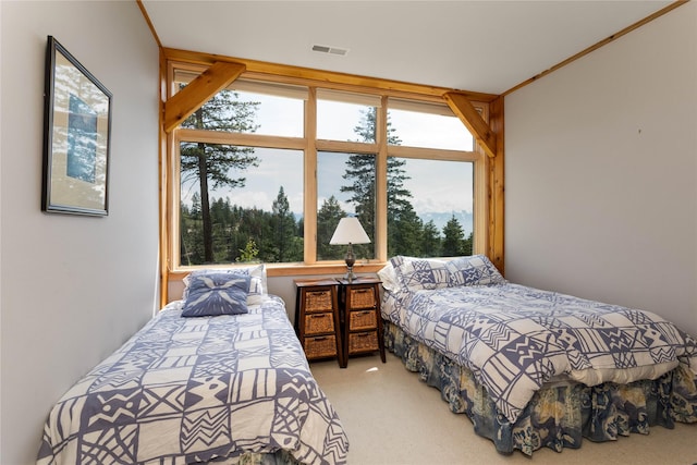 100 Deep Bay Dr, Lakeside, MT 59922 - bedroom with carpet flooring