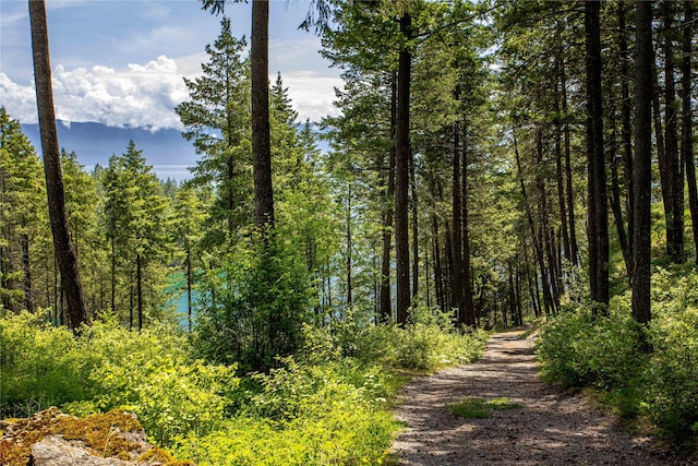 100 Deep Bay Dr, Lakeside, MT 59922 - view of woods