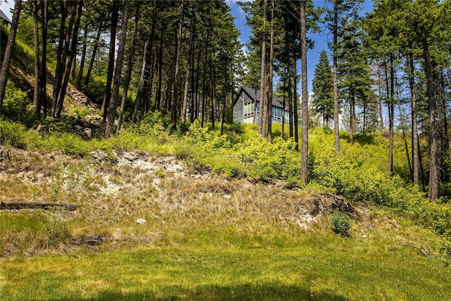 100 Deep Bay Dr, Lakeside, MT 59922 - view of local wilderness