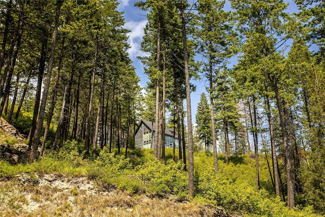 100 Deep Bay Dr, Lakeside, MT 59922 - view of undeveloped land