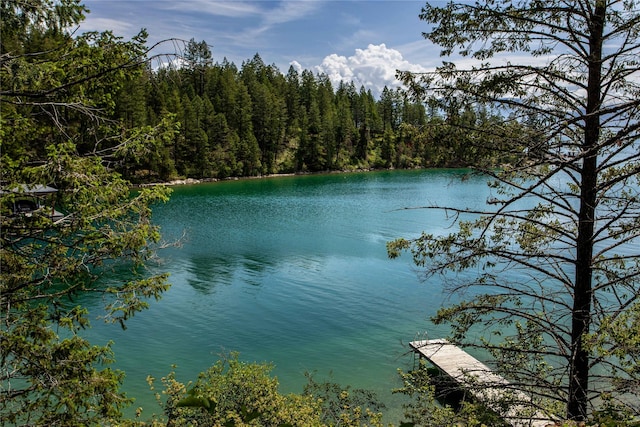100 Deep Bay Dr, Lakeside, MT 59922 - water view with a heavily wooded area