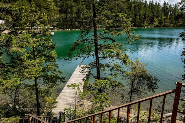 100 Deep Bay Dr, Lakeside, MT 59922 - water view featuring a forest